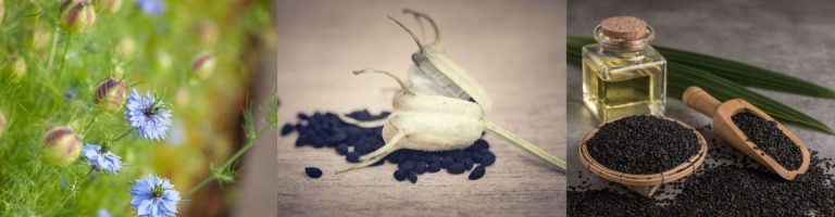 Nigella oil: the multifunctional oil